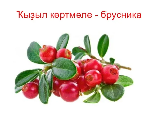 Ҡыҙыл көртмәле - брусника