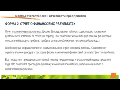 Формы бухгалтерской отчетности предприятия