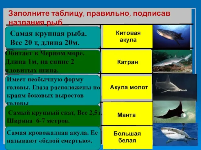 Заполните таблицу, правильно, подписав названия рыб Самая крупная рыба. Вес 20