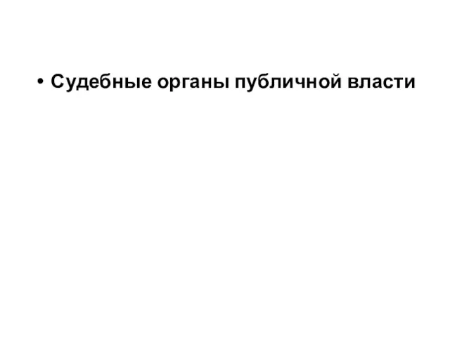 Судебные органы публичной власти