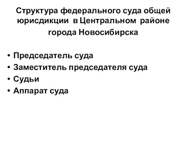 Структура федерального суда общей юрисдикции в Центральном районе города Новосибирска Председатель