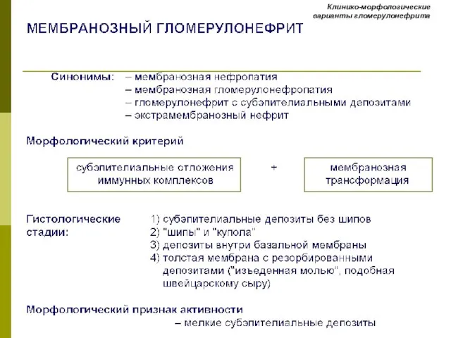 Клинико-морфологические варианты гломерулонефрита