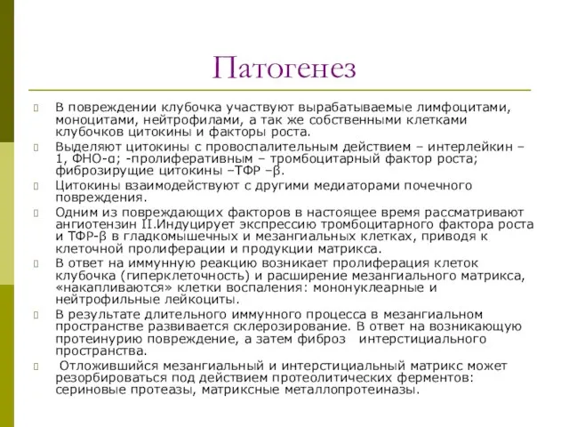 Патогенез В повреждении клубочка участвуют вырабатываемые лимфоцитами, моноцитами, нейтрофилами, а так