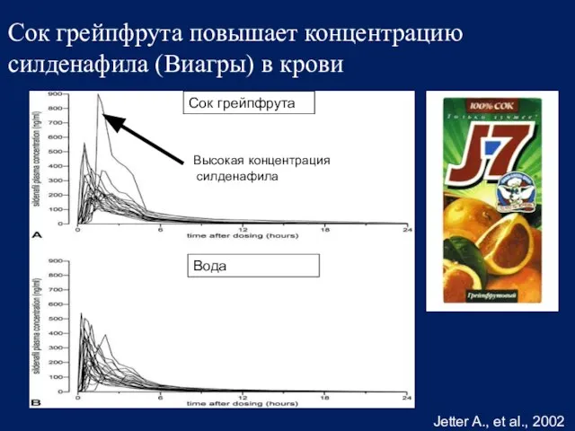 Сок грейпфрута повышает концентрацию силденафила (Виагры) в крови Jetter A., et