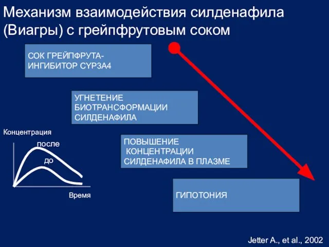 Механизм взаимодействия силденафила (Виагры) с грейпфрутовым соком СОК ГРЕЙПФРУТА- ИНГИБИТОР CYP3A4