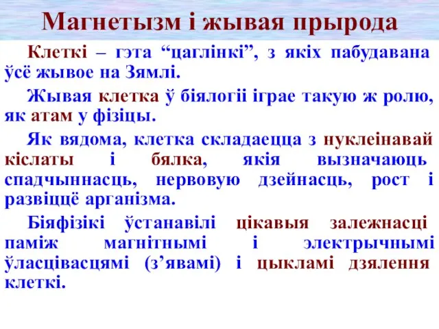 Магнетызм і жывая прырода Клеткі – гэта “цаглінкі”, з якіх пабудавана