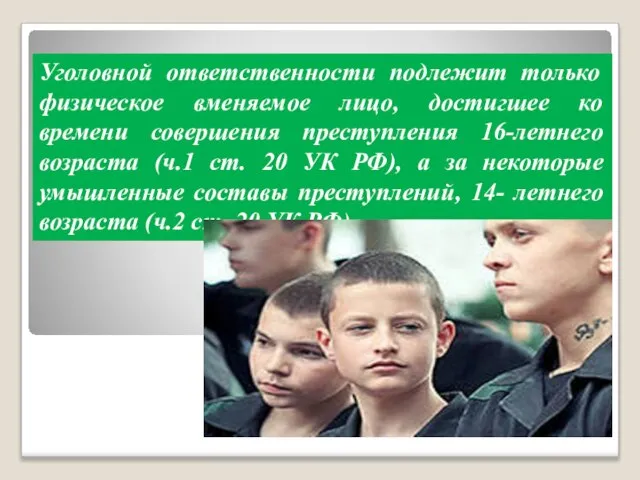 Уголовной ответственности подлежит только физическое вменяемое лицо, достигшее ко времени совершения