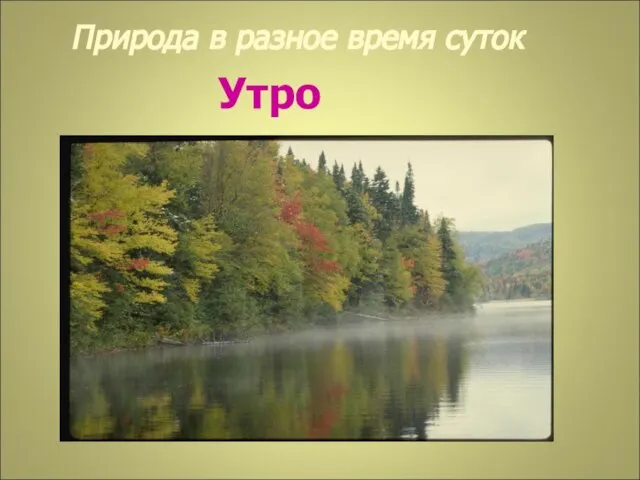 Природа в разное время суток Утро