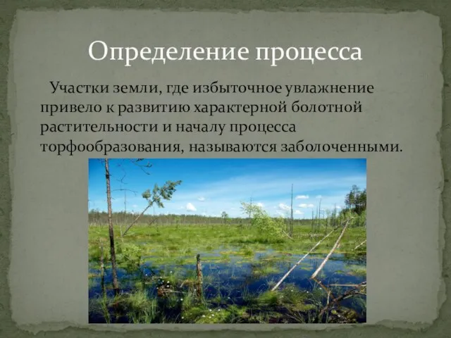 Участки земли, где избыточное увлажнение привело к развитию характерной болотной растительности