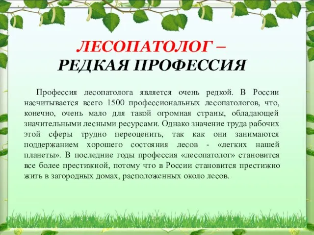 ЛЕСОПАТОЛОГ – РЕДКАЯ ПРОФЕССИЯ Профессия лесопатолога является очень редкой. В России