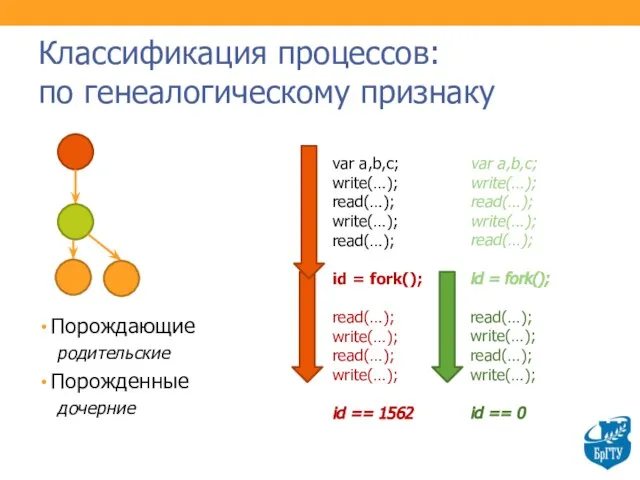 Классификация процессов: по генеалогическому признаку Порождающие родительские Порожденные дочерние