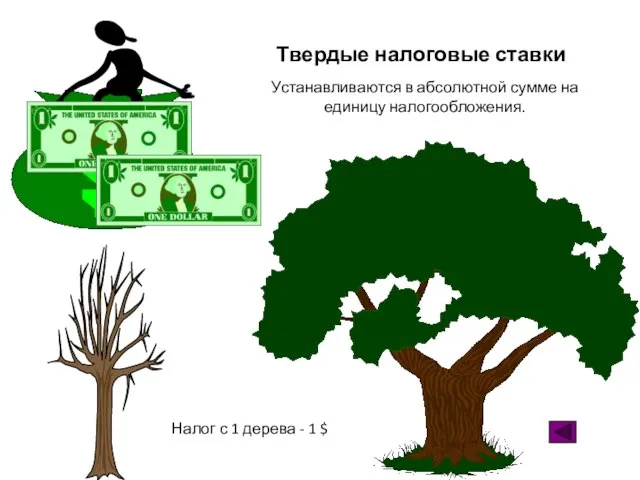 Твердые налоговые ставки Налог с 1 дерева - 1 $ Устанавливаются