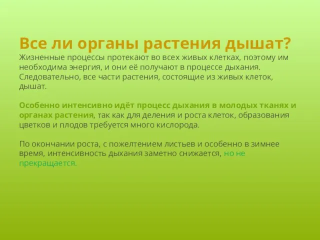 Все ли органы растения дышат? Жизненные процессы протекают во всех живых