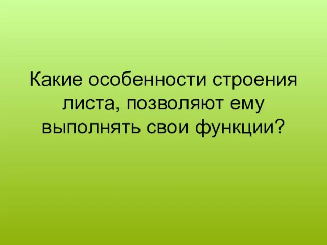 Какие особенности строения листа, позволяют ему выполнять свои функции?