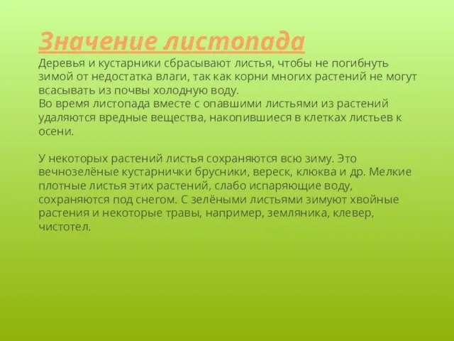 Значение листопада Деревья и кустарники сбрасывают листья, чтобы не погибнуть зимой