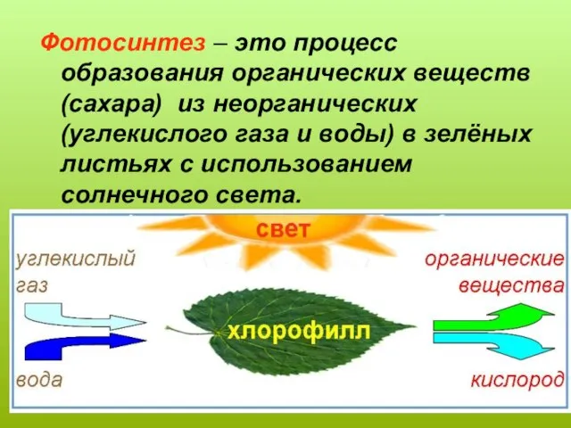 Фотосинтез – это процесс образования органических веществ (сахара) из неорганических (углекислого