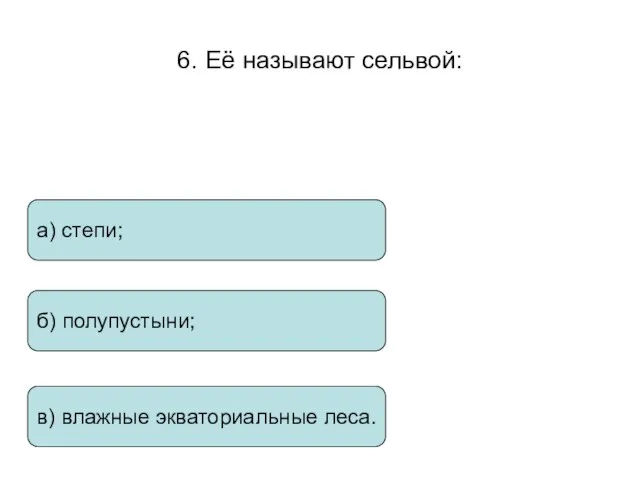 6. Её называют сельвой: а) степи; б) полупустыни; в) влажные экваториальные леса.