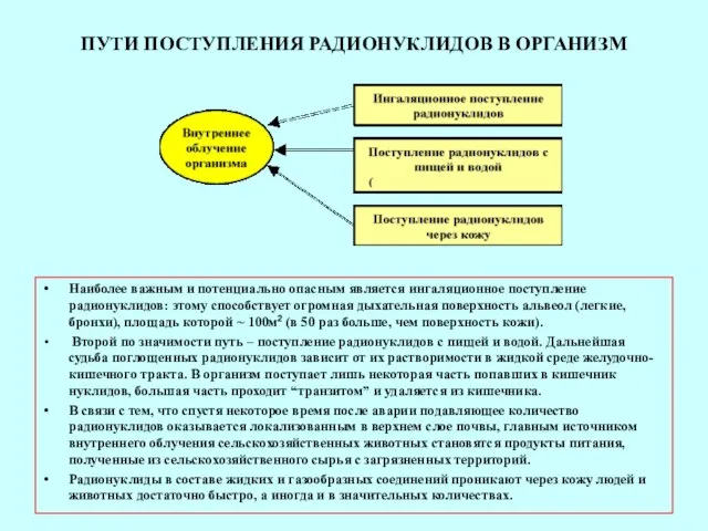 ПУТИ ПОСТУПЛЕНИЯ РАДИОНУКЛИДОВ В ОРГАНИЗМ Наиболее важным и потенциально опасным является