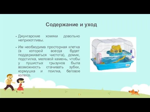 Содержание и уход Джунгарские хомяки довольно неприхотливы. Им необходима просторная клетка