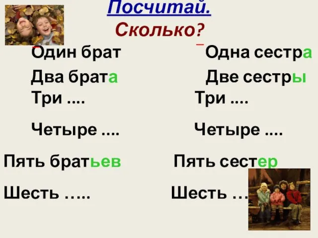 Посчитай. Сколько? Один брат Одна сестра Два брата Две сестры Три