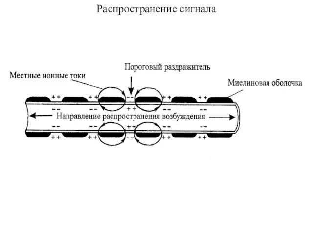 Распространение сигнала