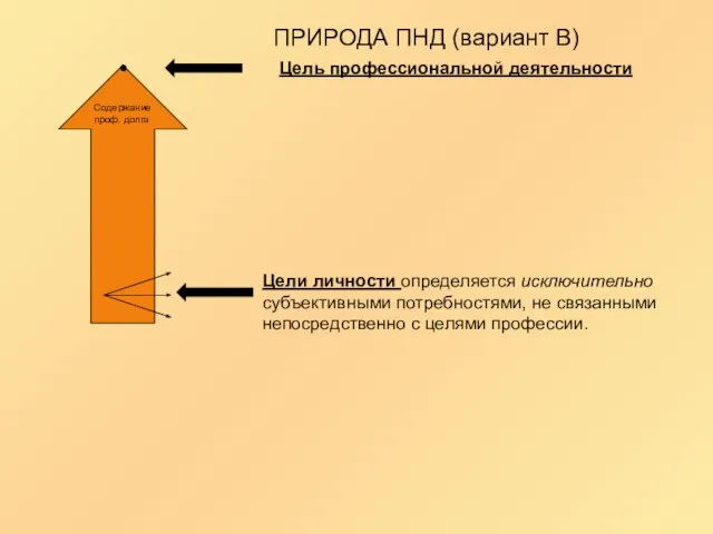 ПРИРОДА ПНД (вариант В) Содержание проф. долга Цель профессиональной деятельности Цели