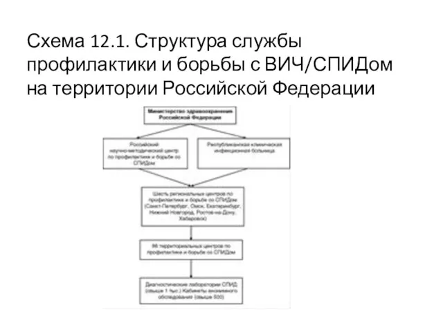 Схема 12.1. Структура службы профилактики и борьбы с ВИЧ/СПИДом на территории Российской Федерации