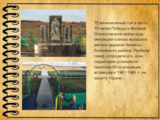 75 вечнозеленых туй в честь 75-летия Победы в Великой Отечественной войне