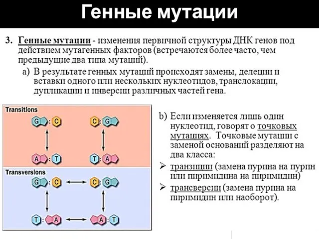 Генные мутации