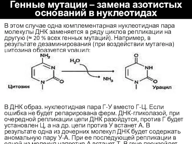 Генные мутации – замена азотистых оснований в нуклеотидах В этом случае