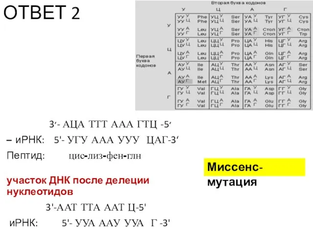 ОТВЕТ 2 3׳- АЦА ТТТ ААА ГТЦ -5׳ – иРНК: 5'-