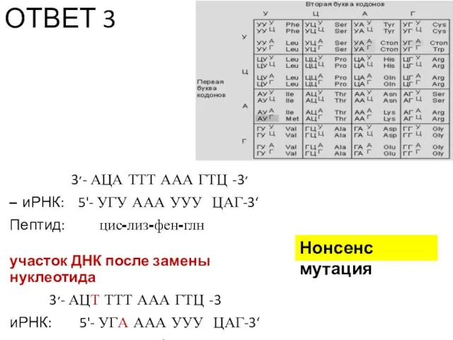 ОТВЕТ 3 3׳- АЦА ТТТ ААА ГТЦ -3׳ – иРНК: 5'-