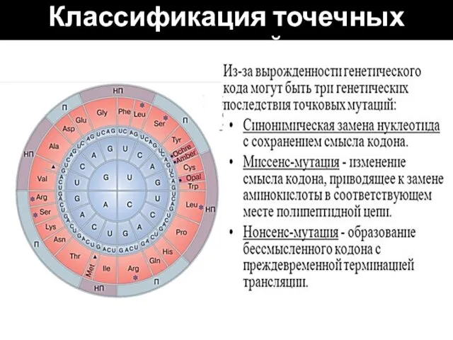 Классификация точечных мутаций