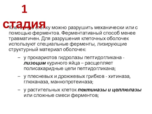 Клеточную стенку можно разрушить механически или с помощью ферментов. Ферментативный способ