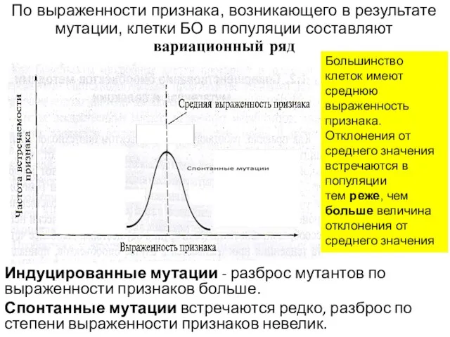 По выраженности признака, возникающего в результате мутации, клетки БО в популяции