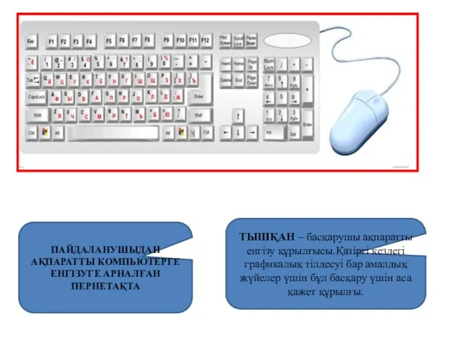 ПАЙДАЛАНУШЫДАН АҚПАРАТТЫ КОМПЬЮТЕРГЕ ЕНГІЗУГЕ АРНАЛҒАН ПЕРНЕТАҚТА ТЫШҚАН – басқарушы ақпаратты енгізу