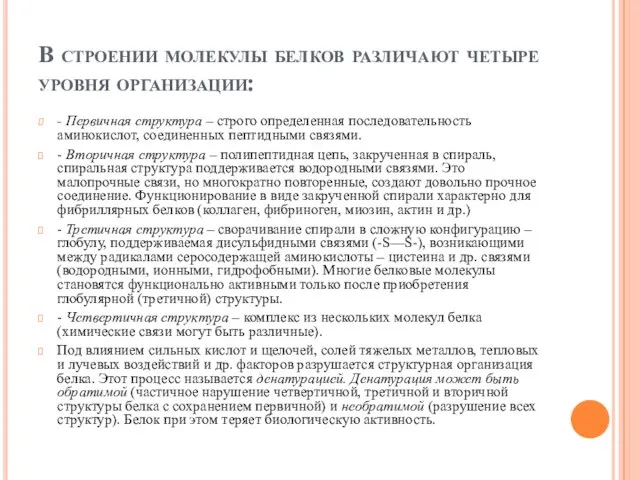 В строении молекулы белков различают четыре уровня организации: - Первичная структура