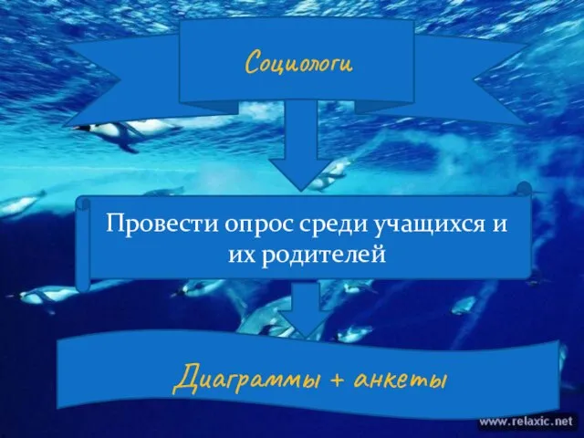 Социологи Провести опрос среди учащихся и их родителей Диаграммы + анкеты