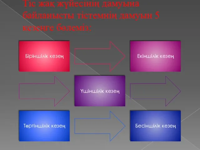 Тіс жақ жүйесінің дамуына байланысты тістемнің дамуын 5 кезеңге бөлеміз: Біріншілік