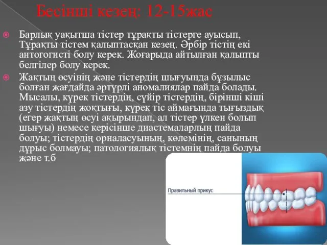 Бесінші кезең: 12-15жас Барлық уақытша тістер тұрақты тістерге ауысып, Тұрақты тістем