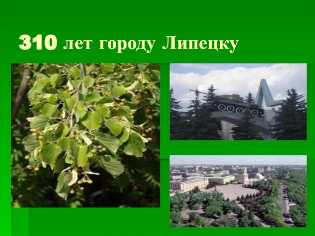 310 лет городу Липецку