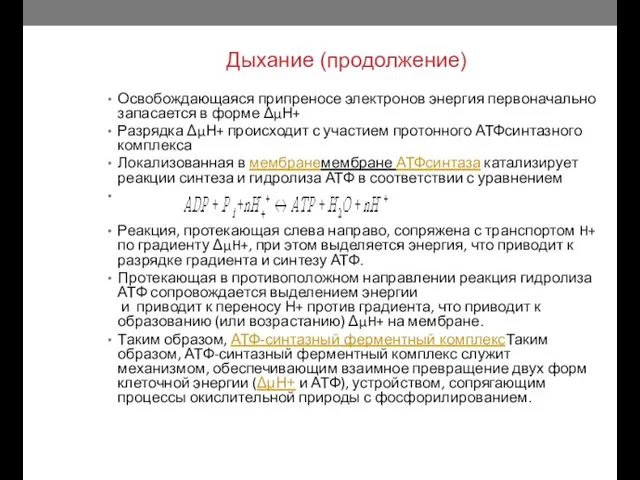 Дыхание (продолжение) Освобождающаяся припреносе электронов энергия первоначально запасается в форме ΔμН+