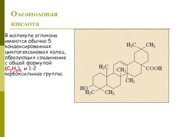 Олеаноловая кислота В молекуле агликона имеются обычно 5 конденсированных циклогексановых колец,