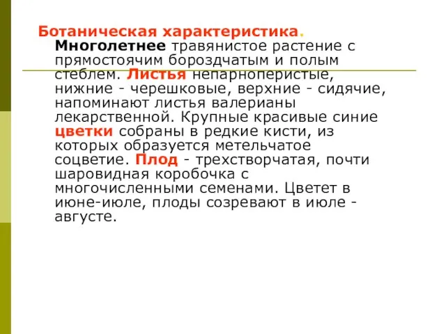 Ботаническая характеристика. Многолетнее травянистое растение с прямостоячим бороздчатым и полым стеблем.