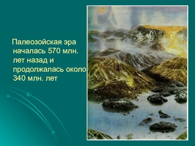 Палеозойская эра началась 570 млн. лет назад и продолжалась около 340 млн. лет