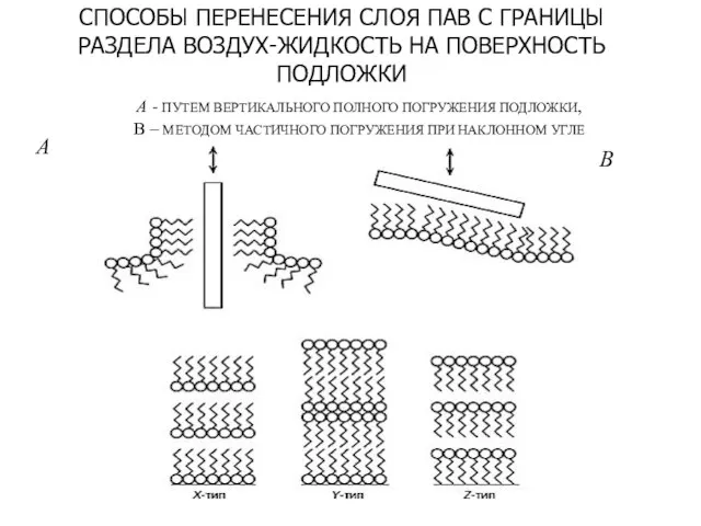 А B СПОСОБЫ ПЕРЕНЕСЕНИЯ СЛОЯ ПАВ С ГРАНИЦЫ РАЗДЕЛА ВОЗДУХ-ЖИДКОСТЬ НА