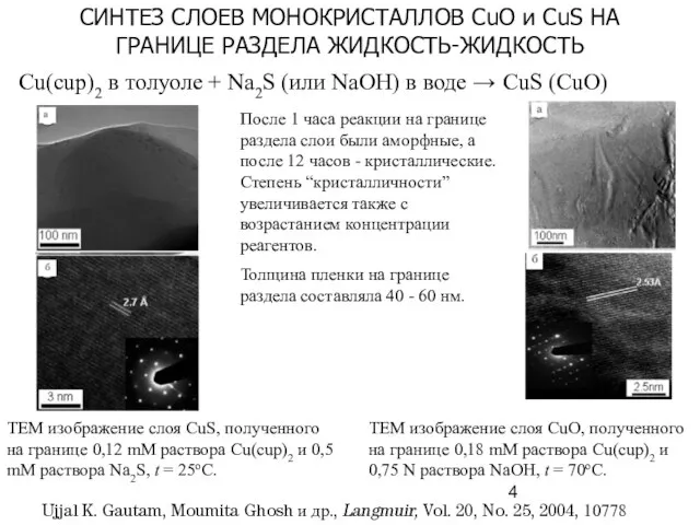 Ujjal K. Gautam, Moumita Ghosh и др., Langmuir, Vol. 20, No.