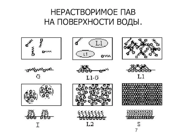 НЕРАСТВОРИМОЕ ПАВ НА ПОВЕРХНОСТИ ВОДЫ.