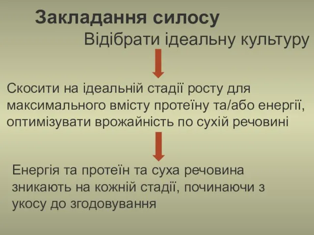 Закладання силосу Відібрати ідеальну культуру Скосити на ідеальній стадії росту для