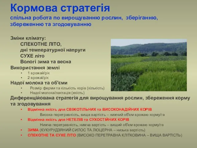 Кормова стратегія спільна робота по вирощуванню рослин, зберіганню, збереженню та згодовуванню